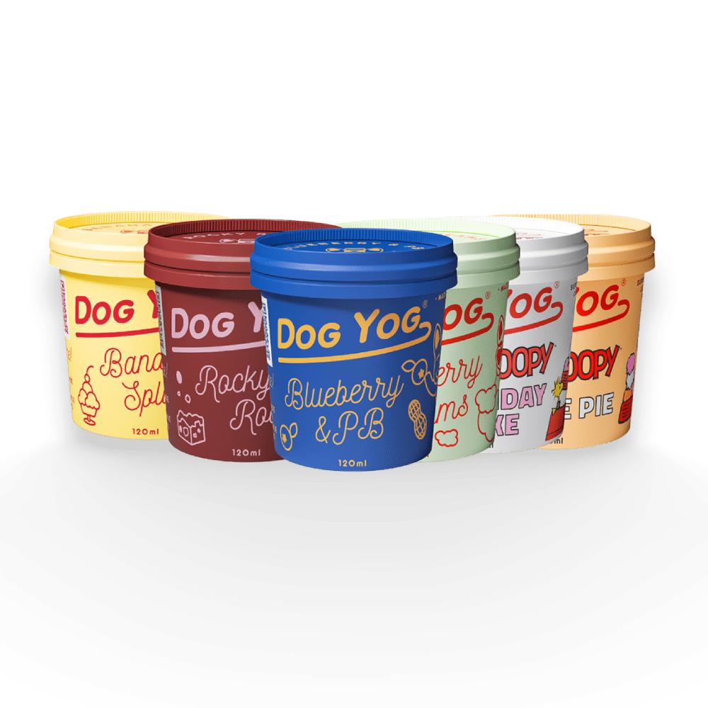 Dog Yog Prebiotic Ice Cream 120ml (pickup Only) [COL:Blueberry &]