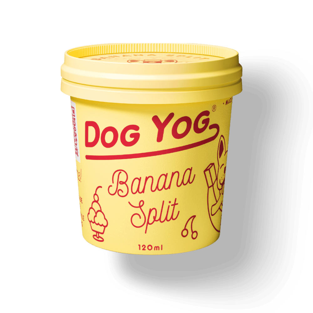 Dog Yog Prebiotic Ice Cream 120ml (pickup Only)