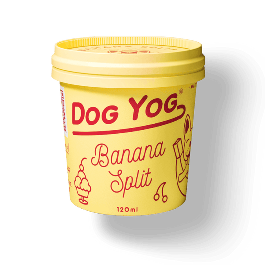 Dog Yog Prebiotic Ice Cream 120ml (pickup Only)