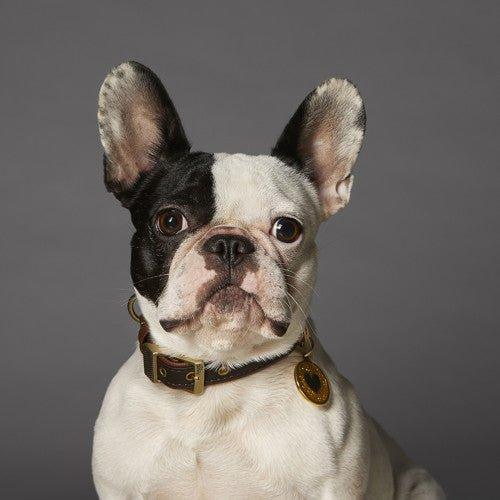 My Family Bilbao Faux Leather Collar