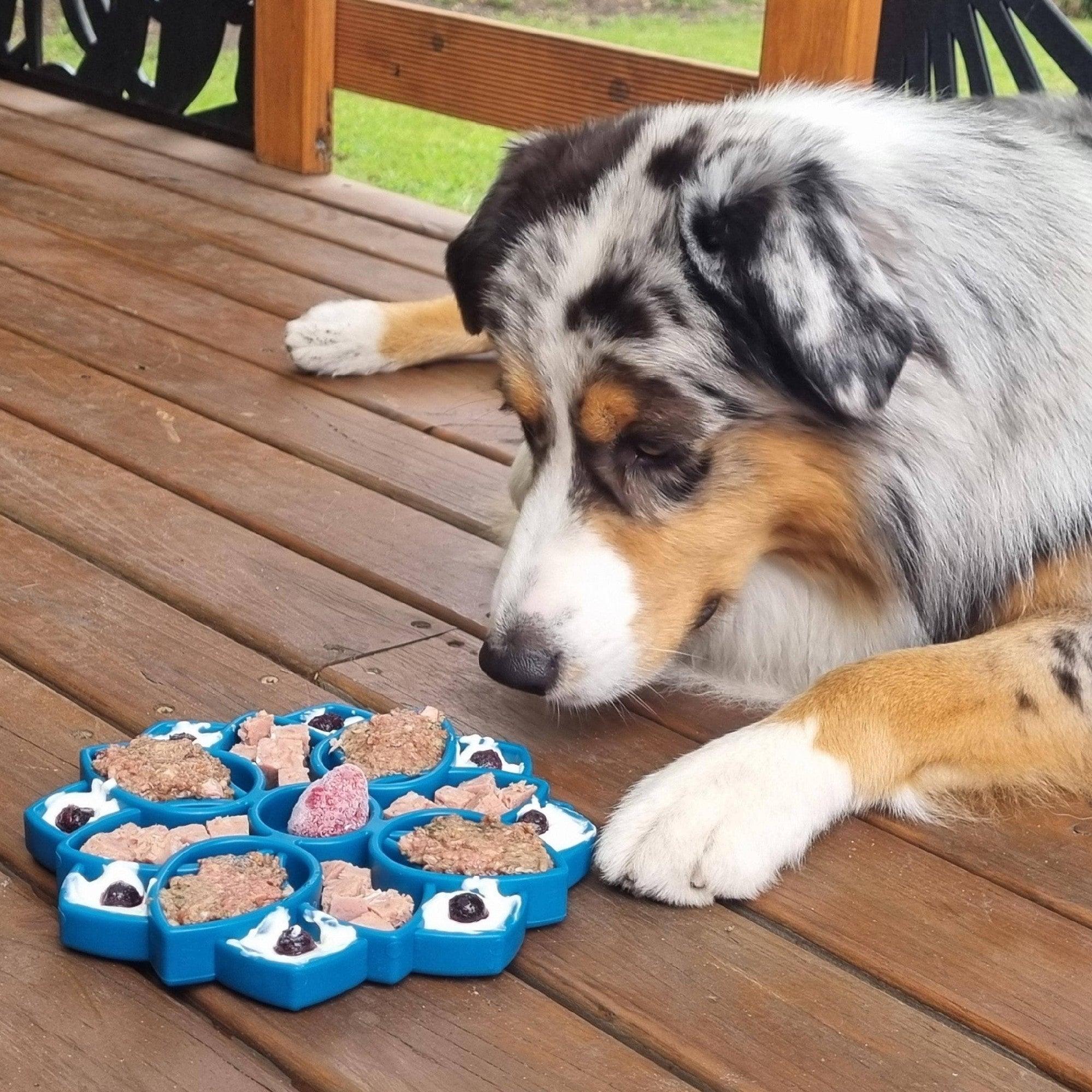 Soda Pup Mandala Slowfeeder Etray