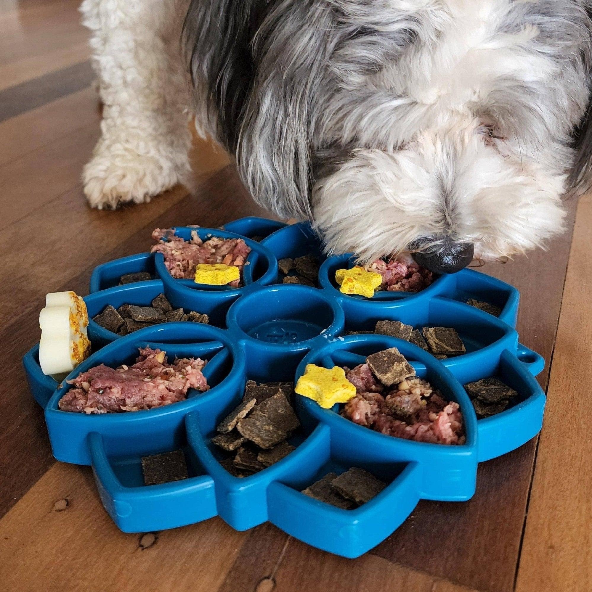 Soda Pup Mandala Slowfeeder Etray