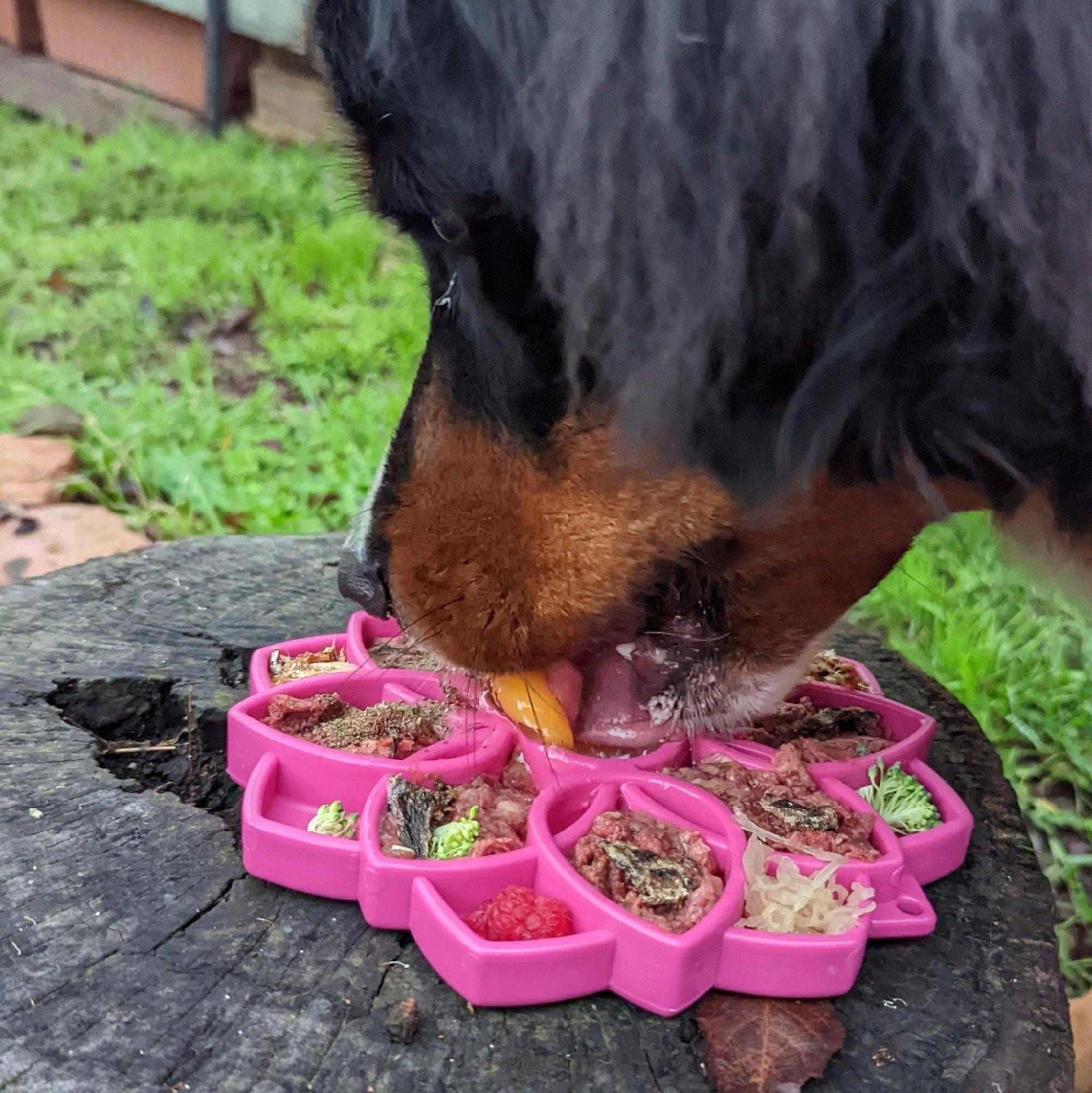 Soda Pup Mandala Slowfeeder Etray