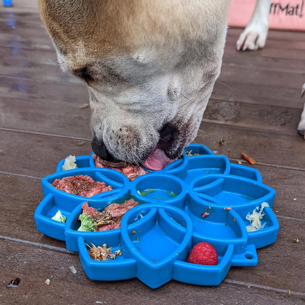 Soda Pup Mandala Slowfeeder Etray