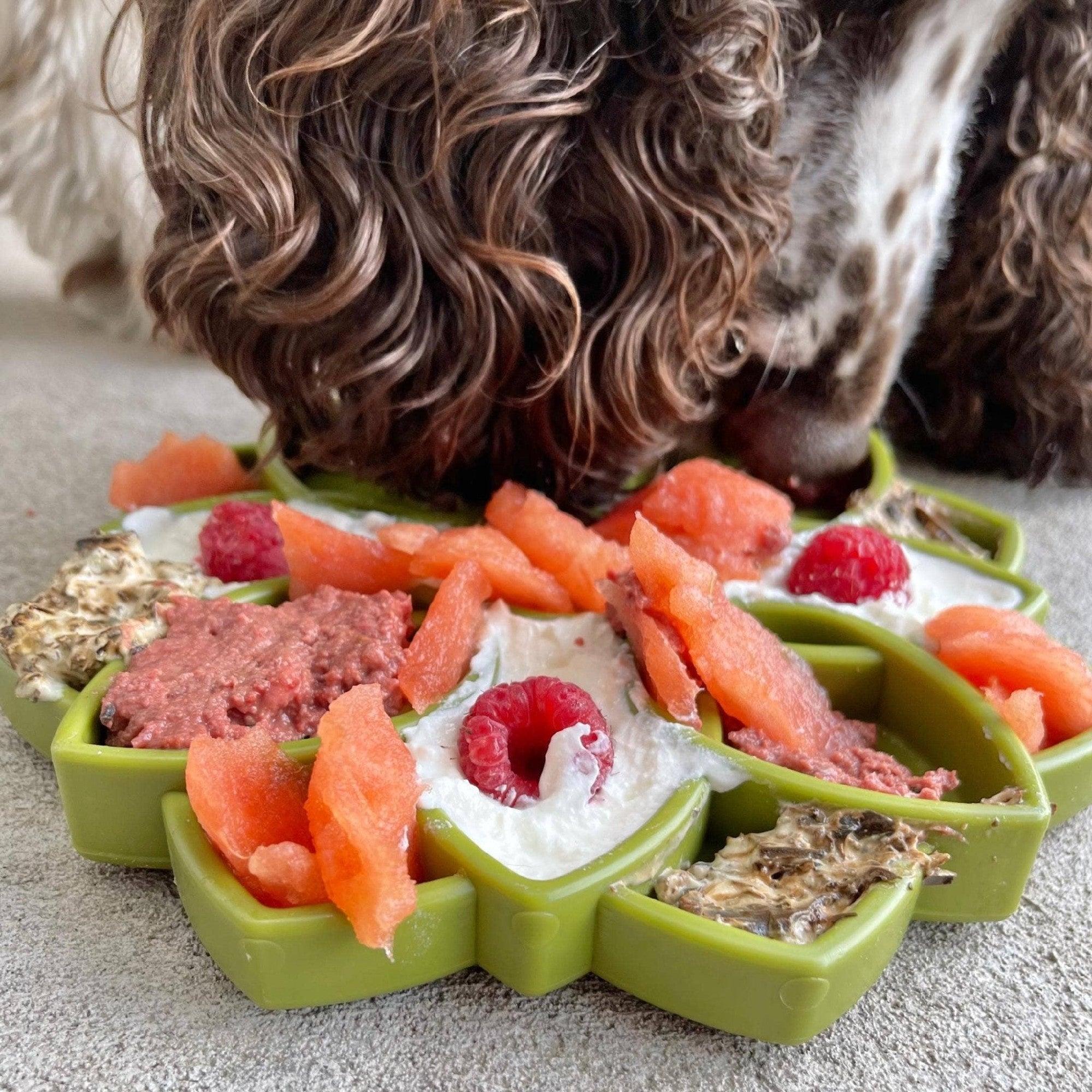 Soda Pup Mandala Slowfeeder Etray