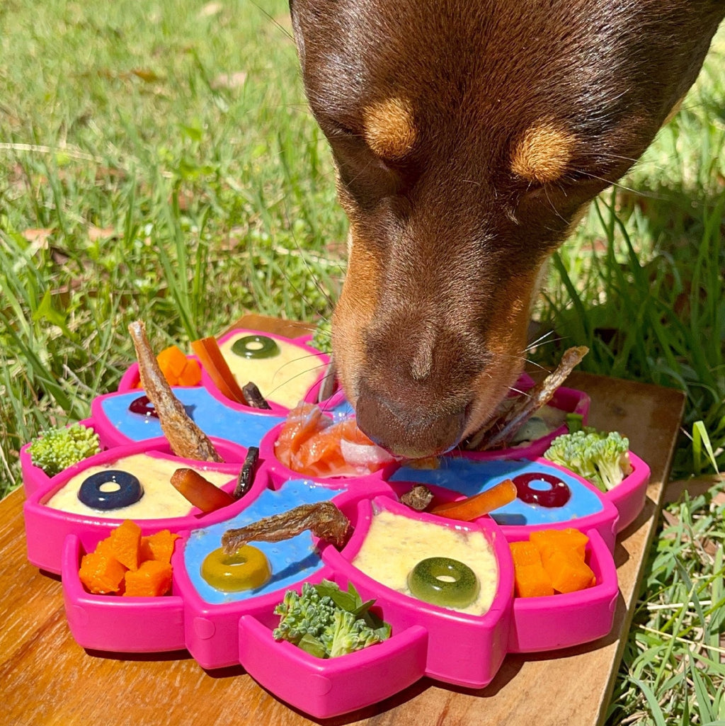 Soda Pup Mandala Slowfeeder Etray [COL:Yellow]