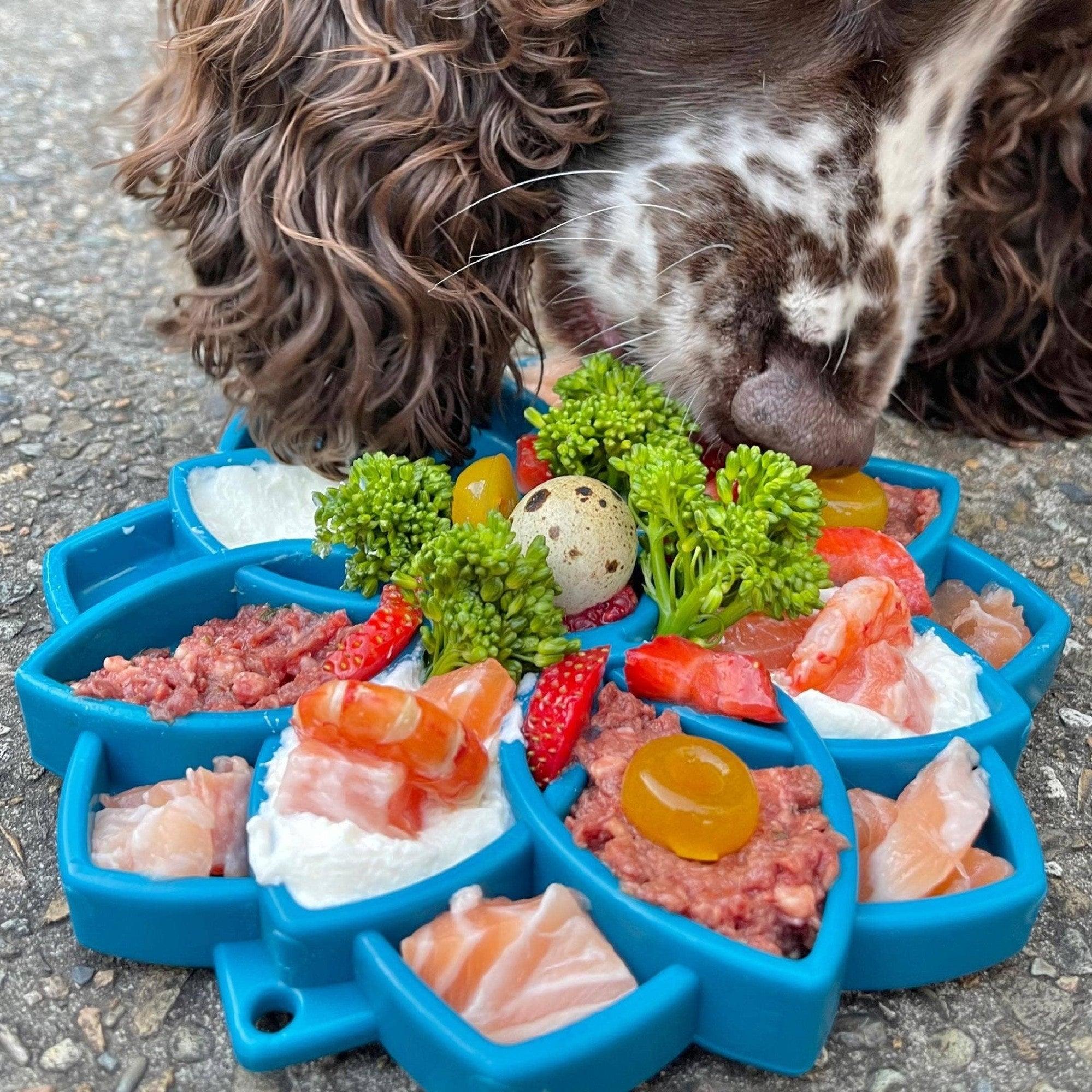 Soda Pup Mandala Slowfeeder Etray