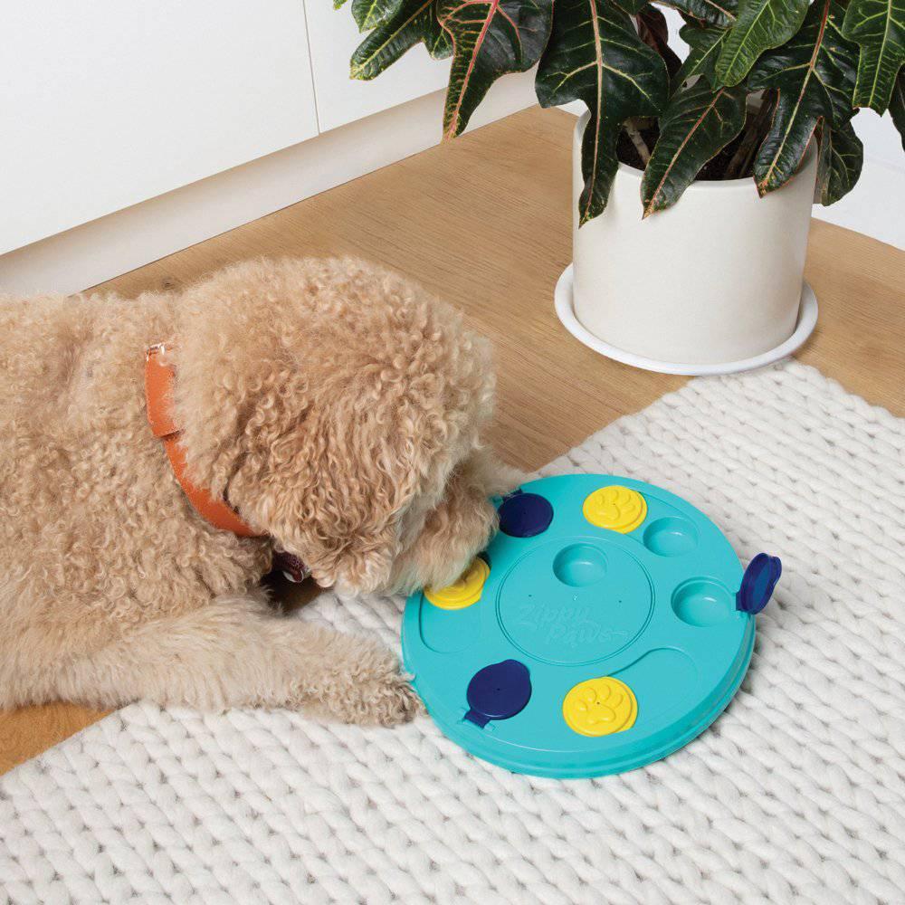 Zippypaws Smartypaws Puzzler Feeder - Teal 28cm [COL:Teal Teal]