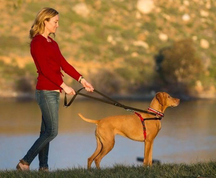 Halti Front Control Harness Black Red