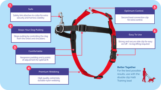 Halti Front Control Harness Black Red