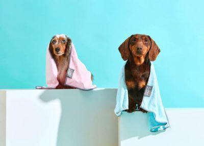 Fuzzyard Microfibre Drying Towel For Puppies