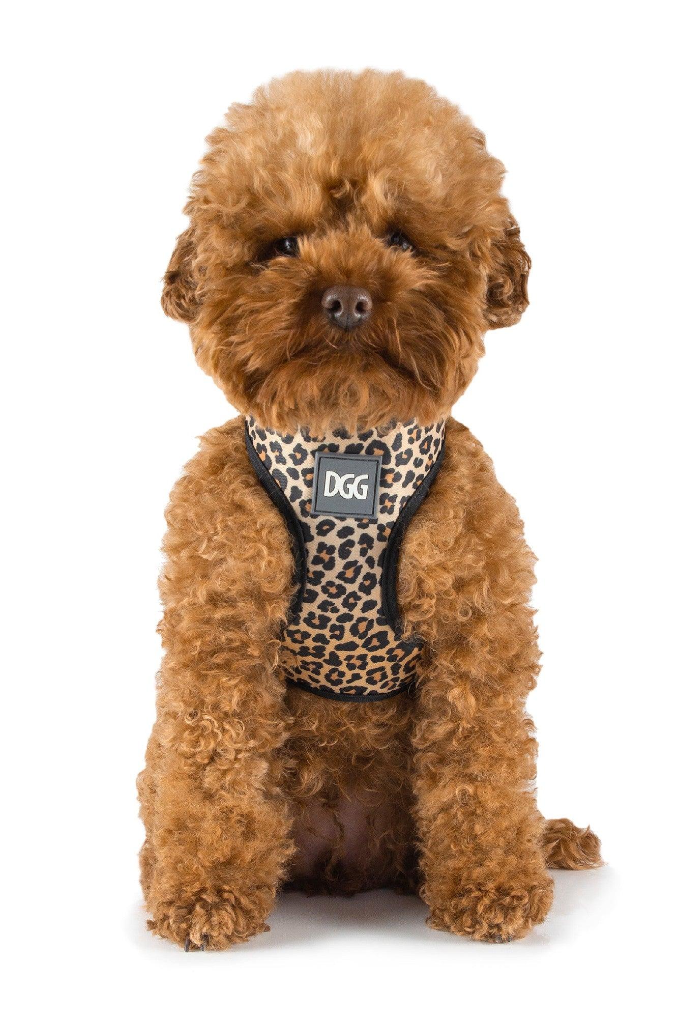 Dgg Easy Walker Harness Large