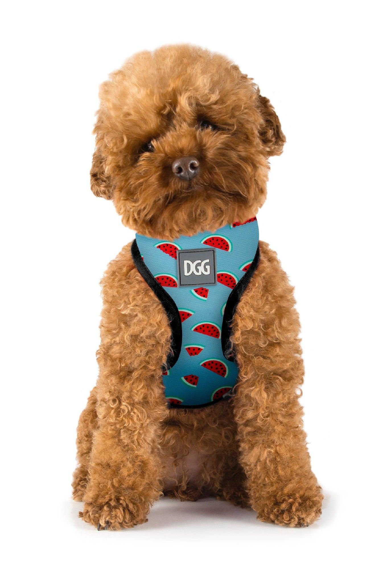 Dgg Easy Walker Harness Large