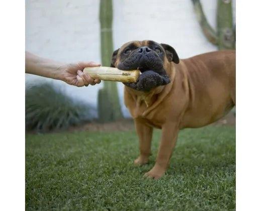 Coffee Wood Stick Dental Chew