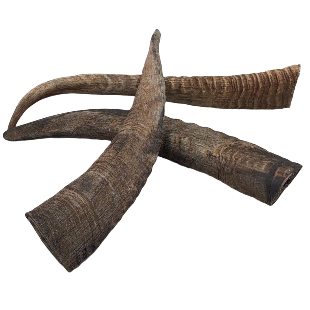 Goat Horn Dog Treat Small