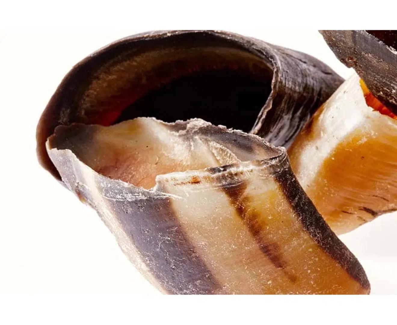 Beef Cow Hooves Dog Treat