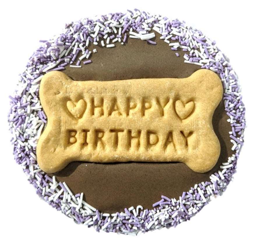 Birthday Party Biscuit Cake Carob [COL:Multi Colour]