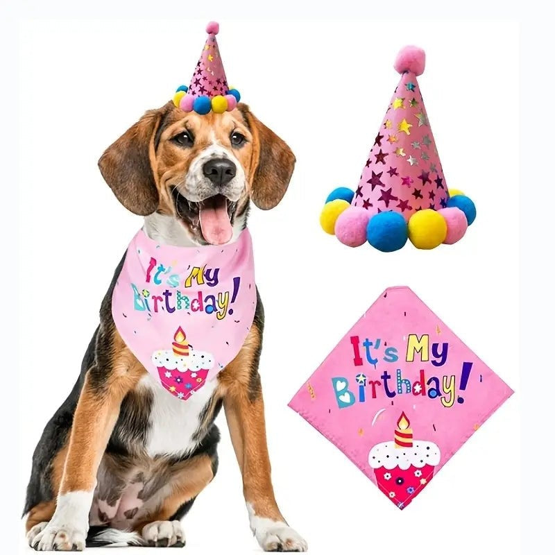 Dog Colourful Pom Pom Party Hat And Bandana Set