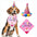 Dog Colourful Pom Pom Party Hat And Bandana Set