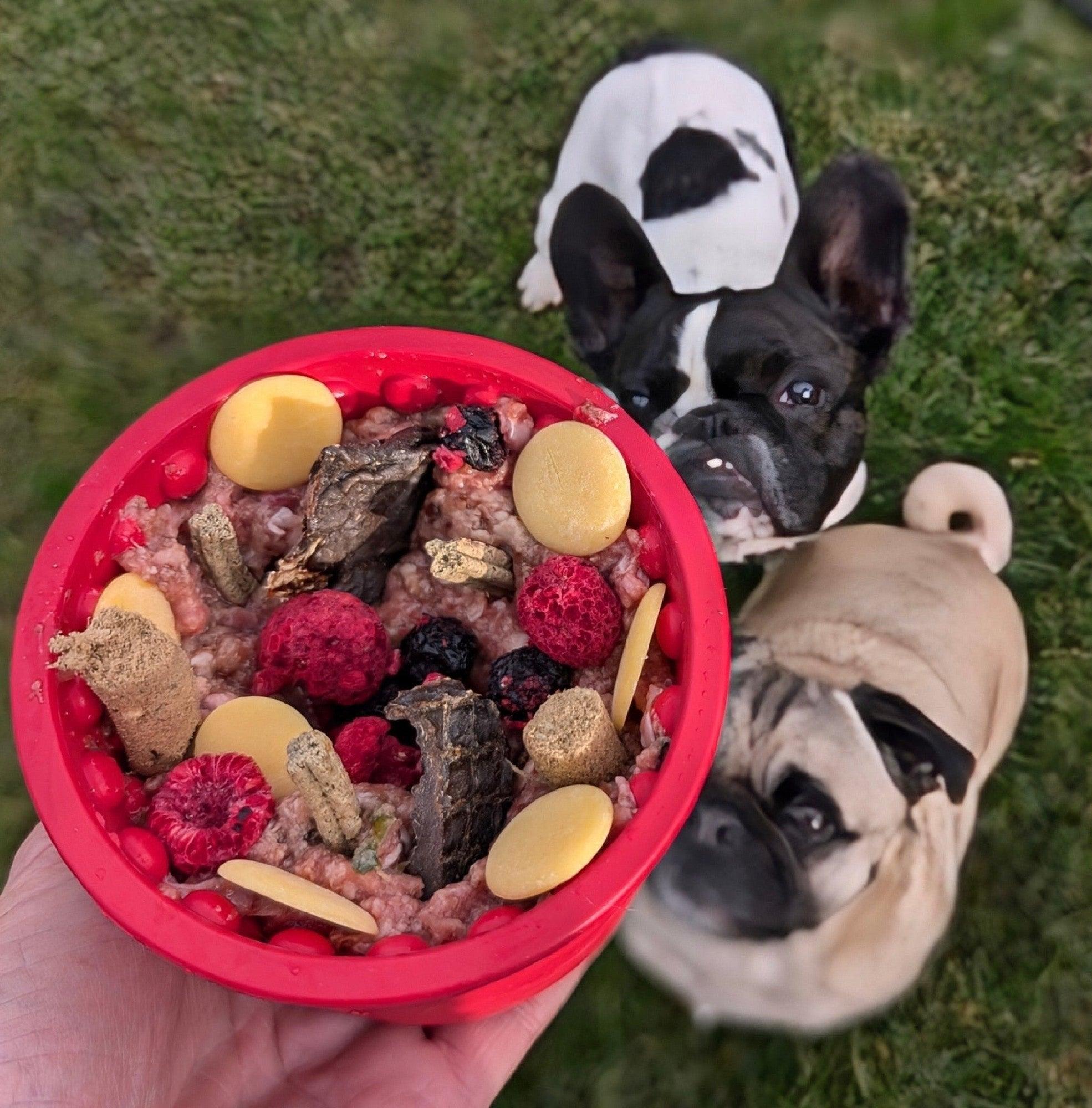 Lickimat Yoggie Pot
