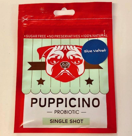 Puppicino Blue Velvet Single Shot