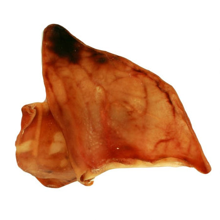 Australian Pig Ear Jumbo