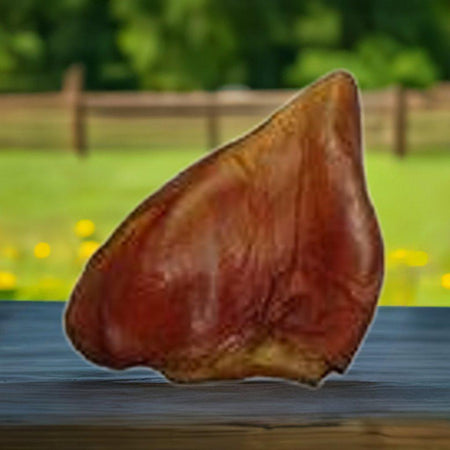 Australian Pig Ear Dog Treat