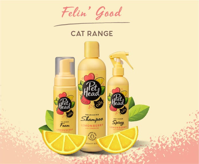 Pet Head Cat Shampoo