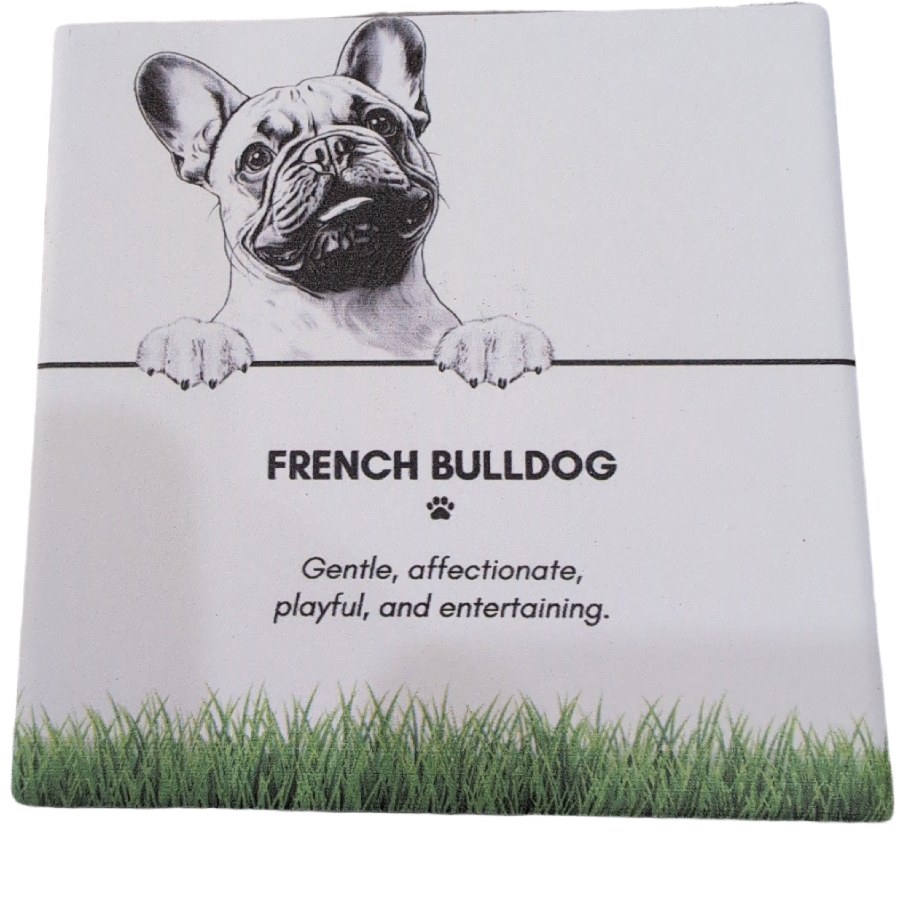 Coaster French Bulldog