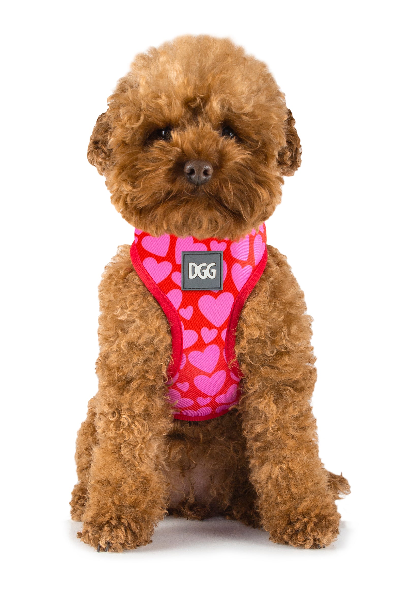 DGG Harness Love Hearts