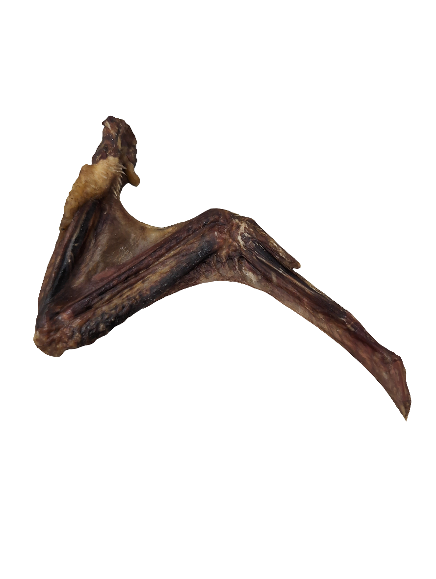 DUCK WINGS