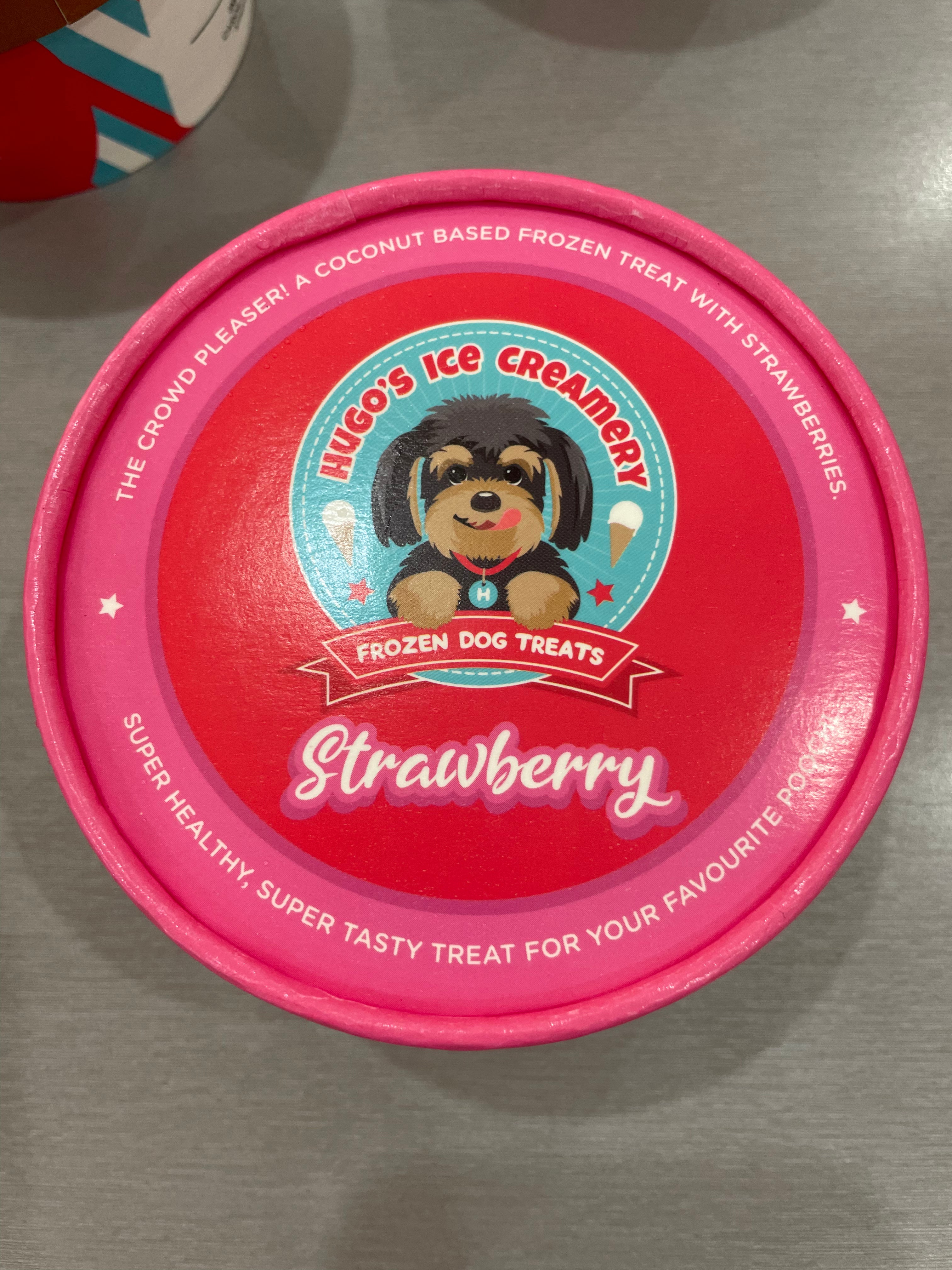 Hugo's Doggie Ice Cream (Pickup Only) - The Dog Shop Warners BayStrawberry