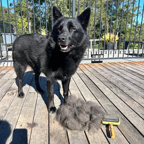 Pet Slicker & Comb Combo