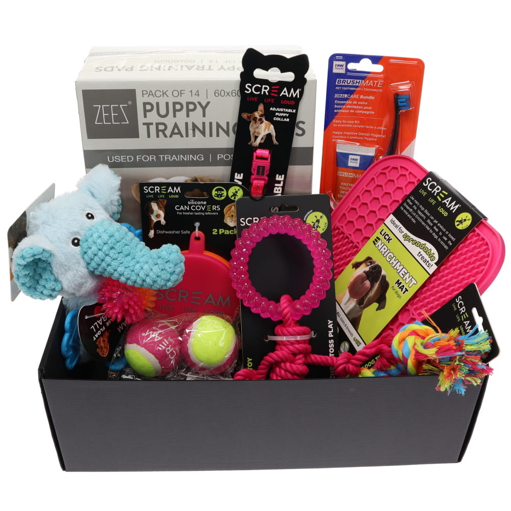 Prestige Puppy Gift Pack