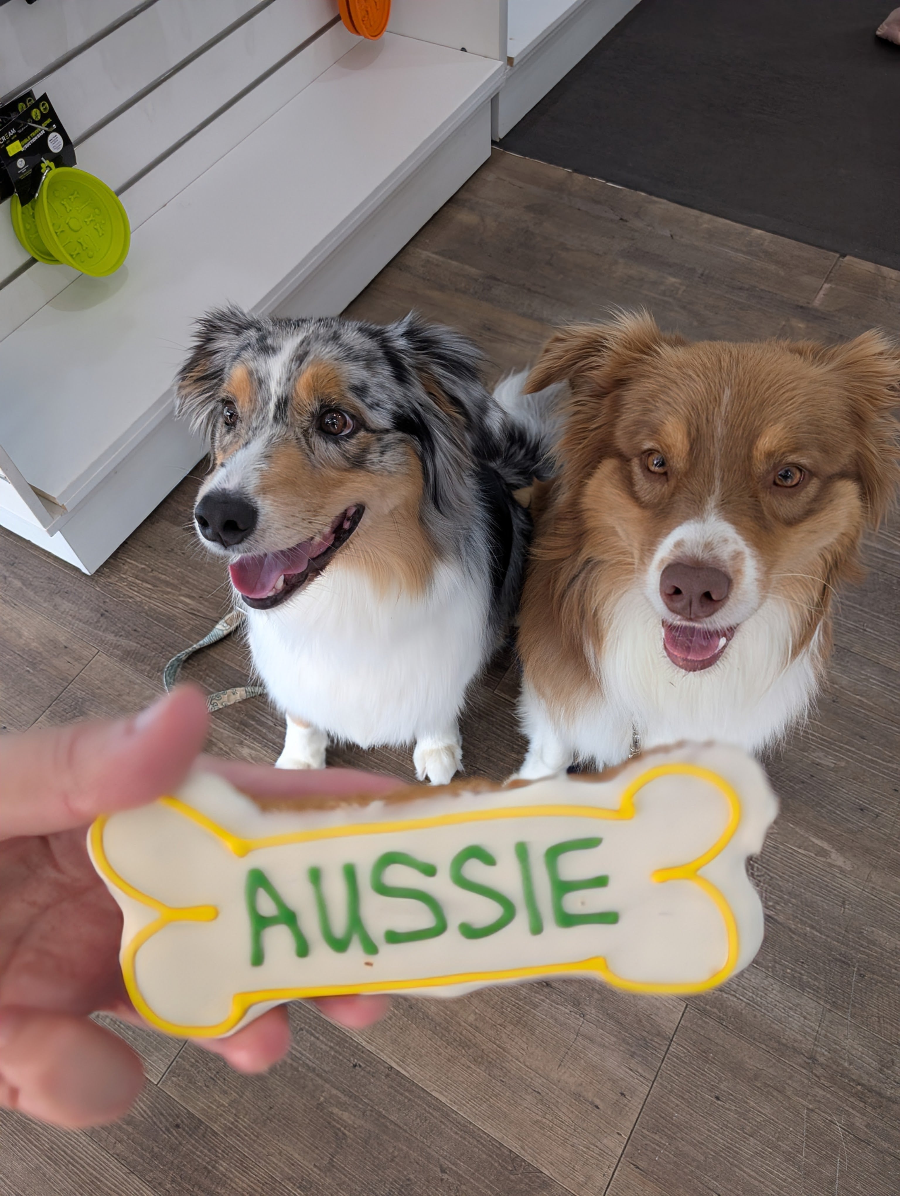 The Dog Shop Warners Bay