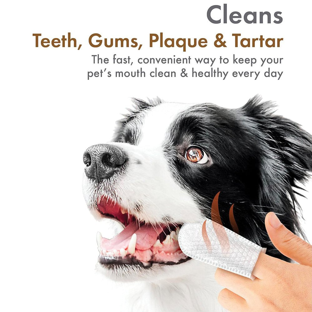 Petkin FINGERTIP TOOTH WIPES Peanut Butter with dog