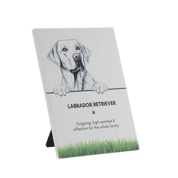 Plaque Labrador