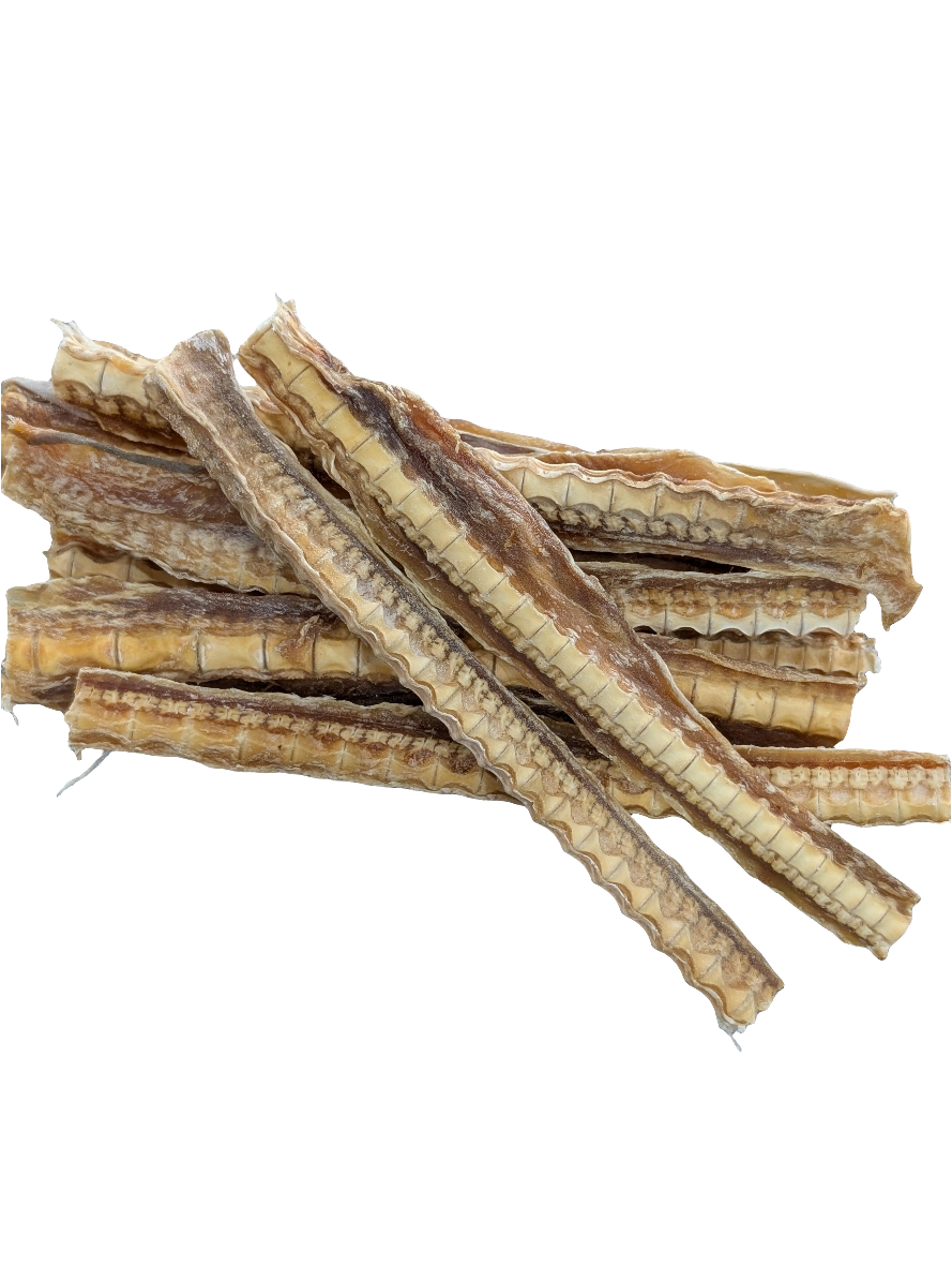 SHARK CARTILAGE LOOSE