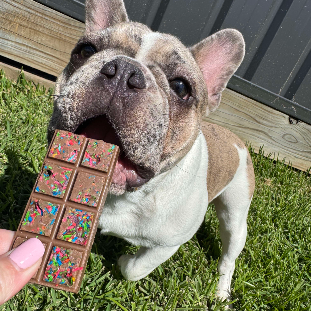 The Dog Shop Warners Bay