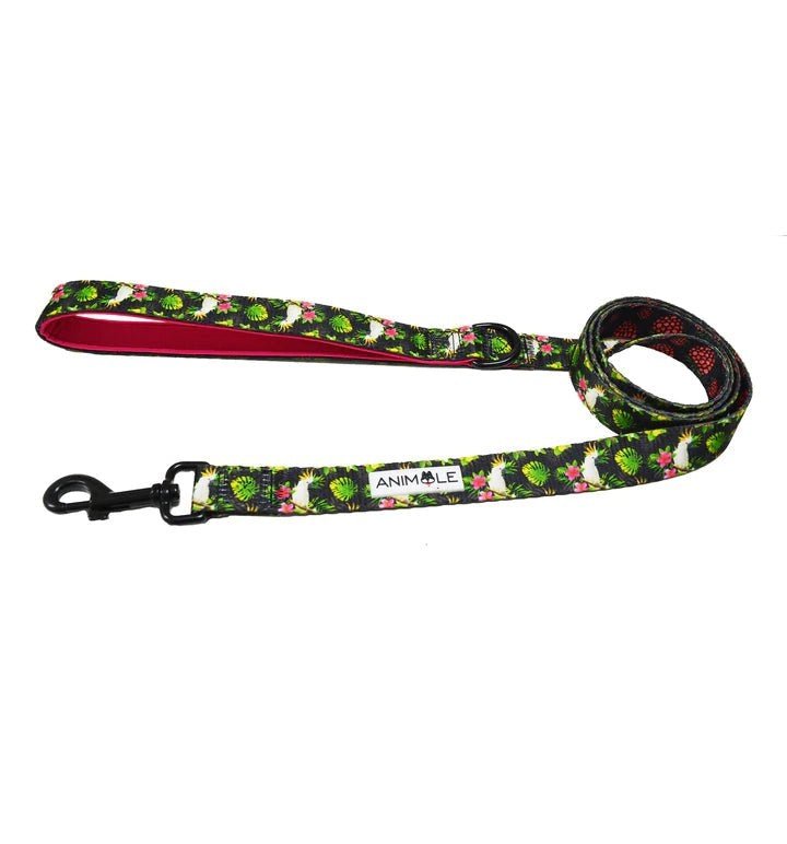 Animale Dog Leash - The Dog Shop Warners Bay