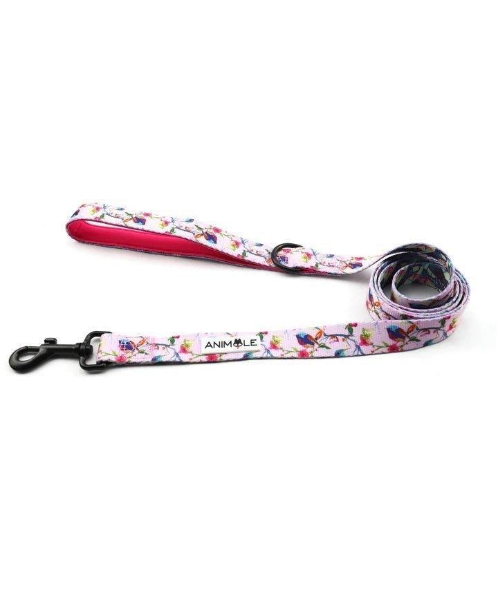 Animale Dog Leash