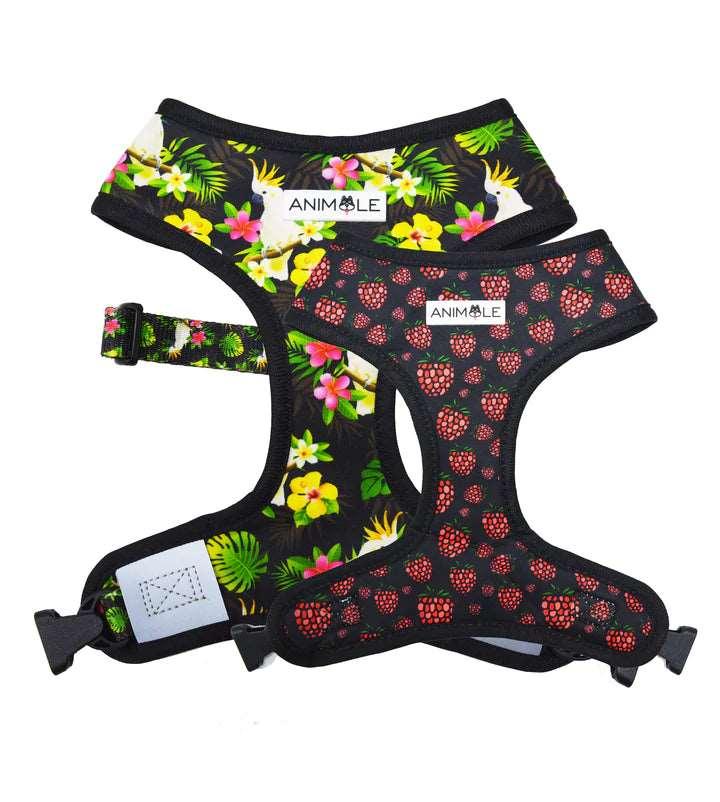 Animale Reversible Harness