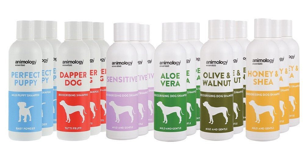 Animology Essentials Shampoo 250ml - The Dog Shop Warners Bay