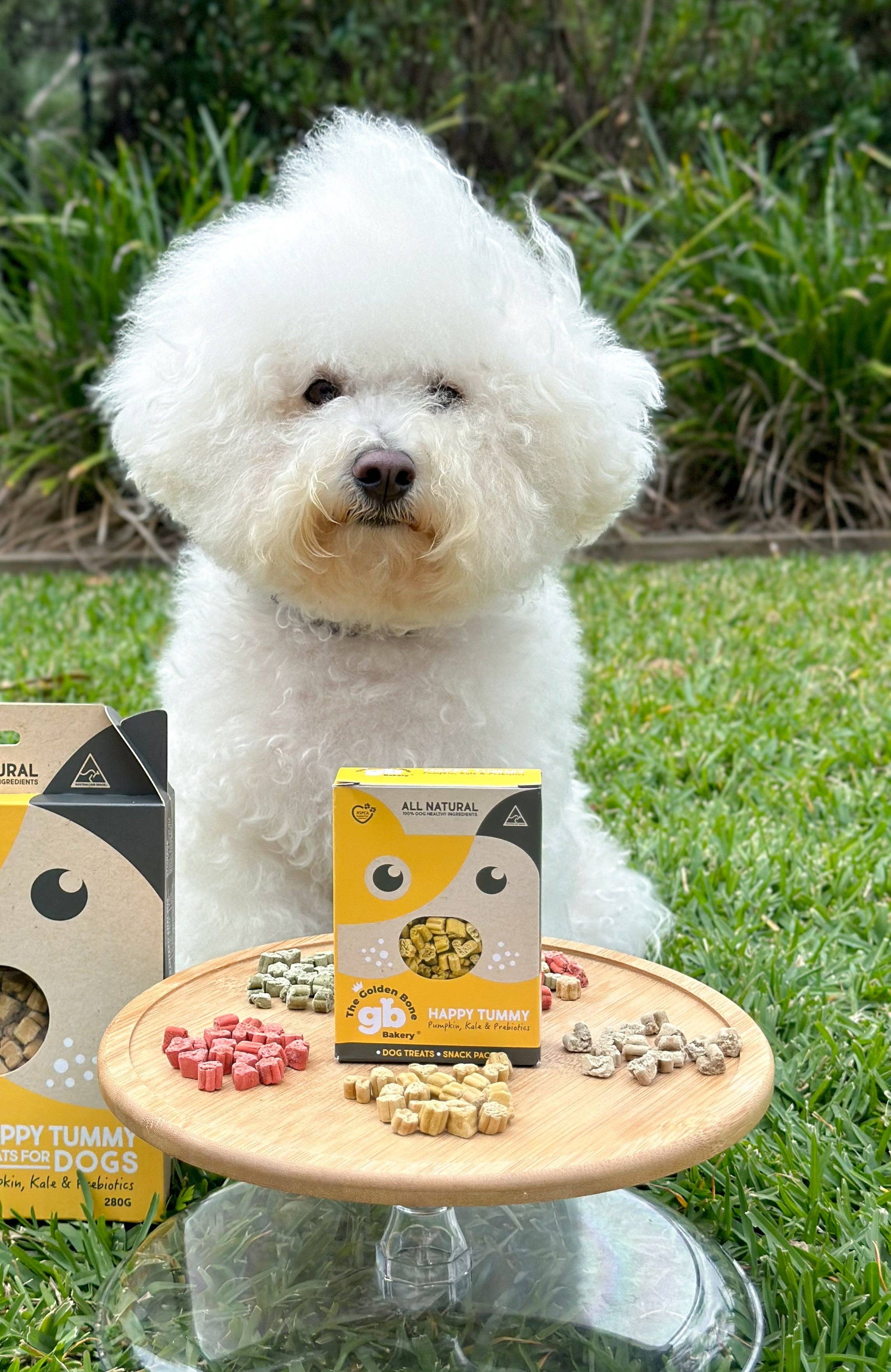 Happy Tummy Dog Treats
