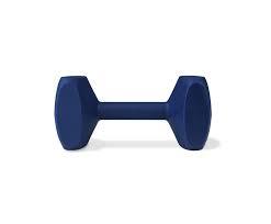 Coachi Training Dumbbell - The Dog Shop Warners Bay