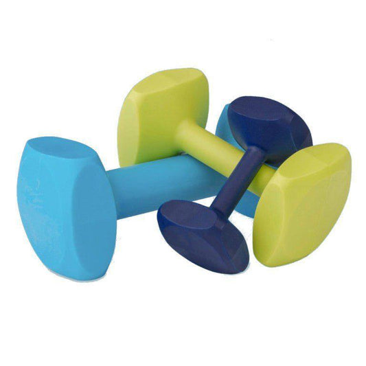 Coachi Training Dumbbell - The Dog Shop Warners Bay