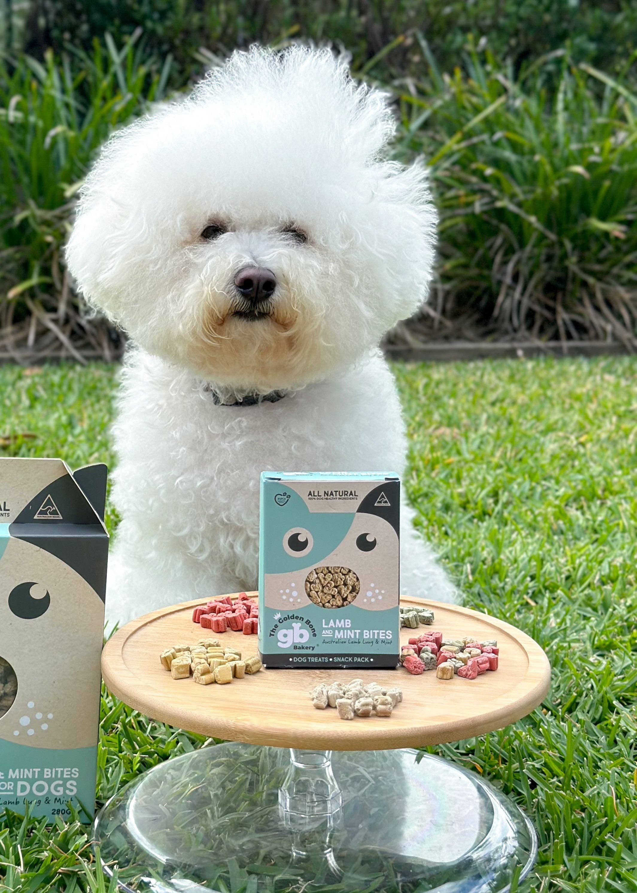 Lamb & Mint Bites Dog Treats