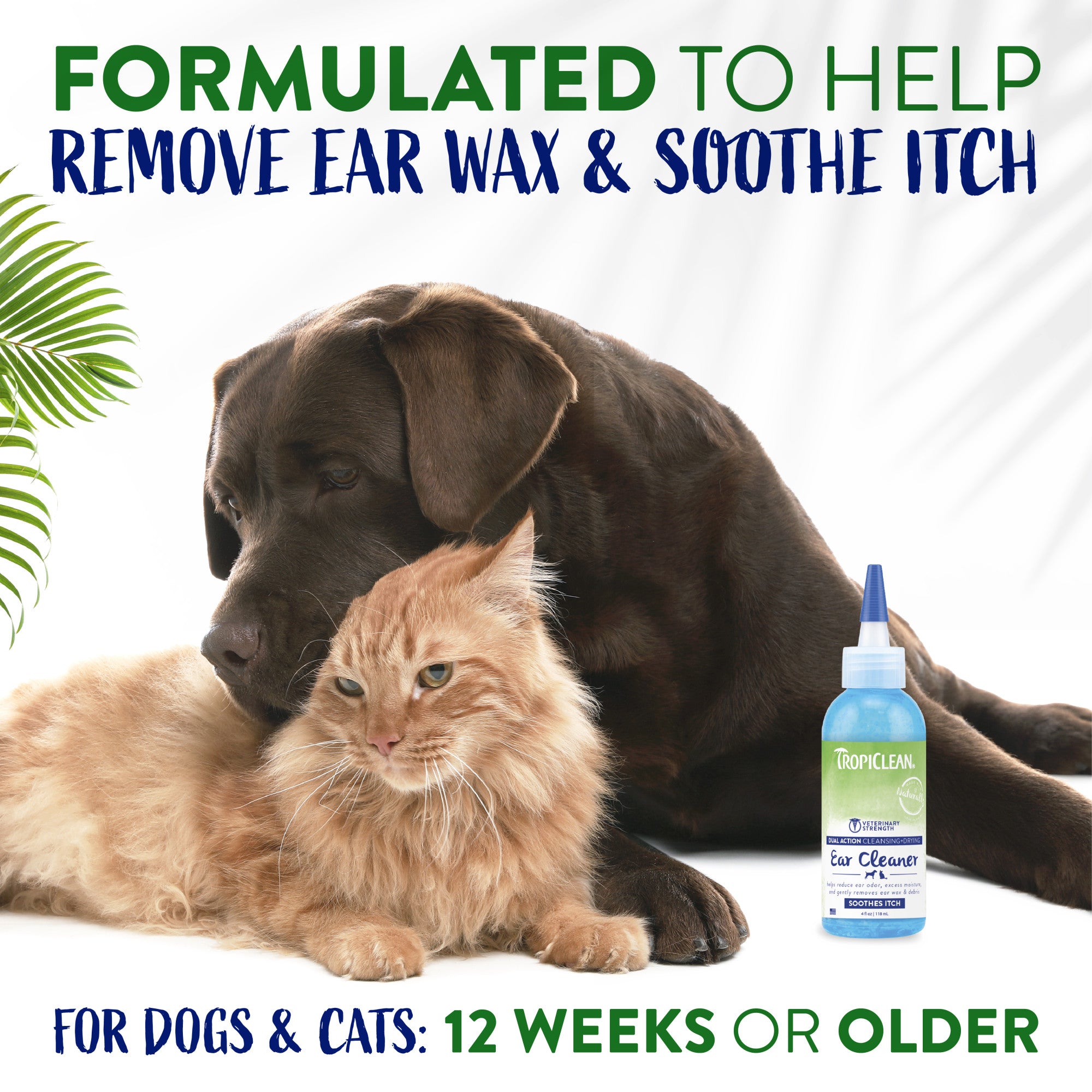 dual action ear cleaner cat and dog