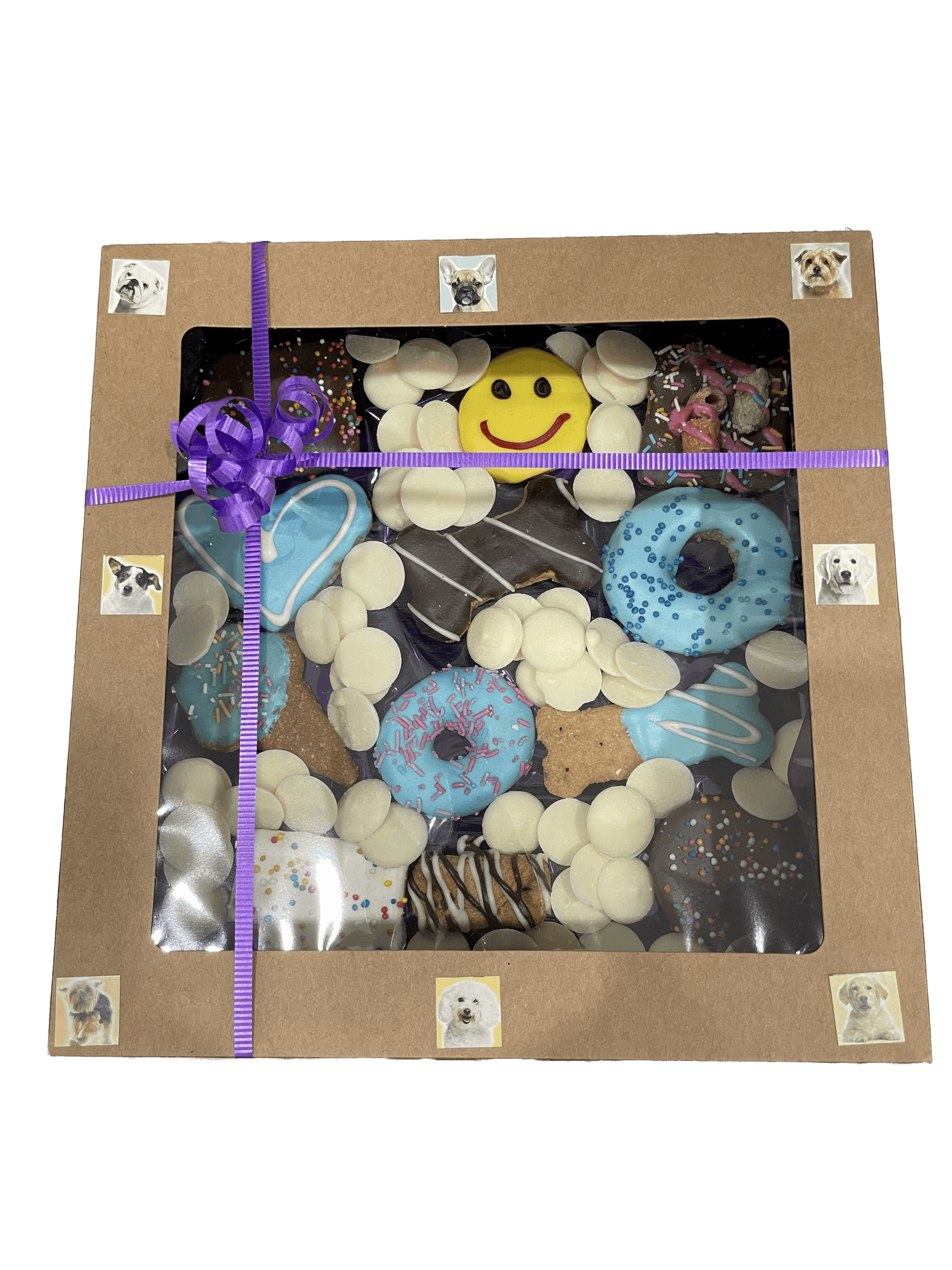 Biscuit Treat Gift Boxes for Dogs