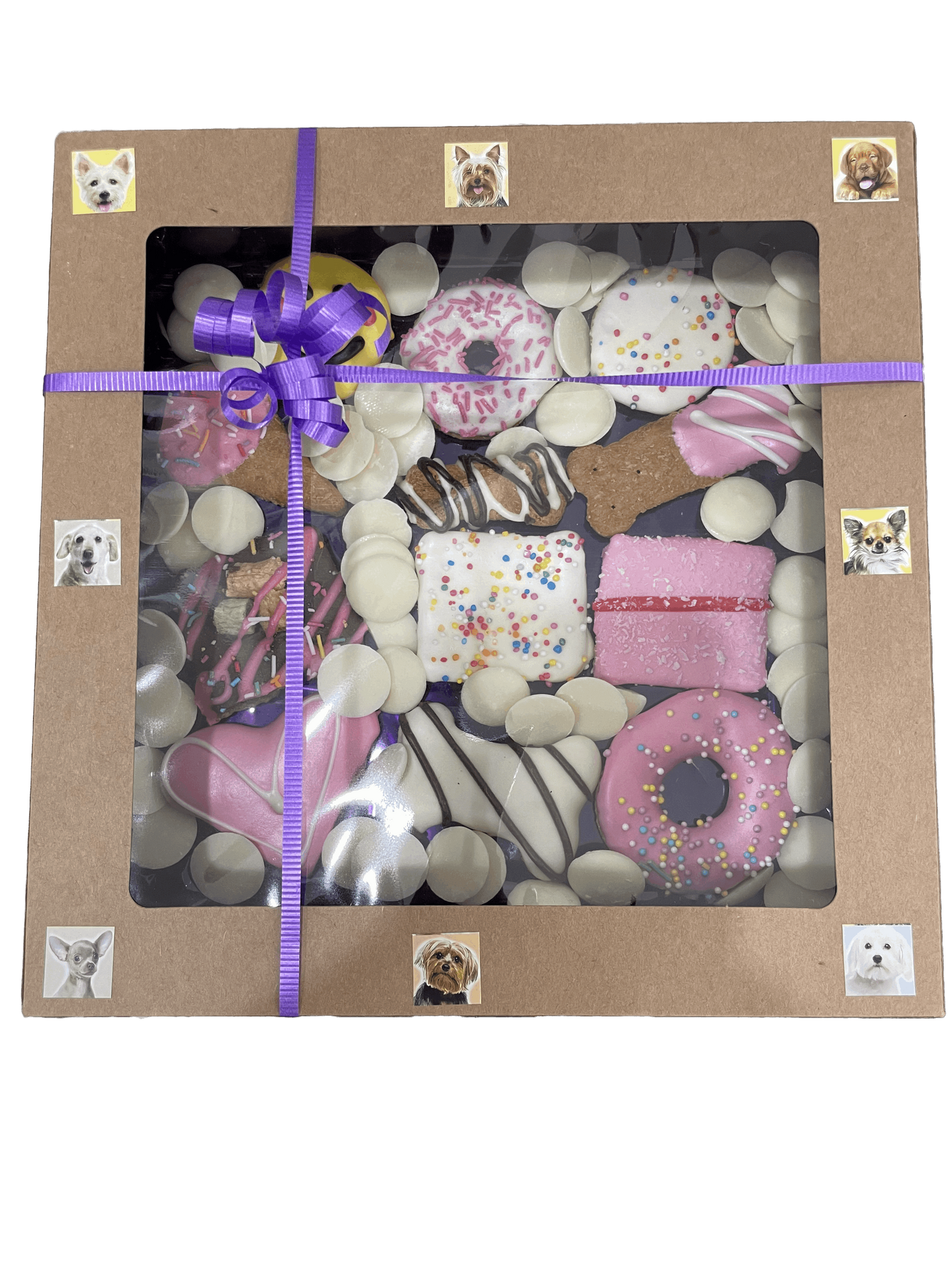 Biscuit Treat Gift Boxes for Dogs
